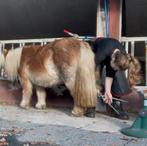 Barefoot bekapper (in opleiding) aangeboden, Dieren en Toebehoren, Paarden en Pony's | Overige Paardenspullen, Ophalen
