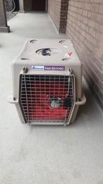 Honden/katten bench, Ophalen of Verzenden, Zo goed als nieuw