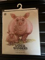 Borduurpakket Varken - Engels Design, Hobby en Vrije tijd, Ophalen of Verzenden, Zo goed als nieuw, Handborduren, Borduurpakket