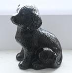 Beeld Hond (puppy), Ophalen, Zo goed als nieuw, Mens