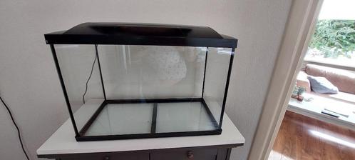 Aquarium 70 liter, Dieren en Toebehoren, Vissen | Aquaria en Toebehoren, Zo goed als nieuw, Leeg aquarium, Ophalen