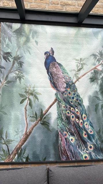 Poster op canvas of doek pauw groot formaat schilderij  beschikbaar voor biedingen