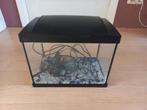 aquarium Superfish, Dieren en Toebehoren, Ophalen, Gebruikt, Leeg aquarium