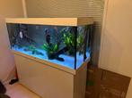 Juwel rio 450, Dieren en Toebehoren, Vissen | Aquaria en Toebehoren, Ophalen, Zo goed als nieuw, Leeg aquarium