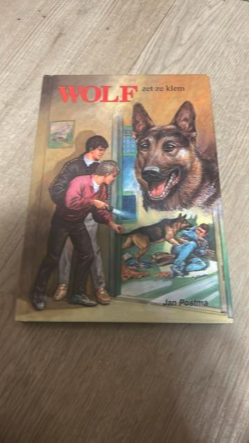 Wolf beschikbaar voor biedingen
