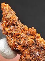 krokoiet uit Tasmanie - miniatuur, Ophalen of Verzenden, Mineraal