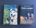 Uw hond trainen opvoeden Cesars aanpak gratis tennisbal, Honden, Ophalen of Verzenden, Zo goed als nieuw, Geert de Bolster Cesar Millan