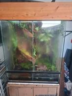 Te koop paludarium 70x51x80, Dieren en Toebehoren, Ophalen, Zo goed als nieuw, Terrarium of Paludarium