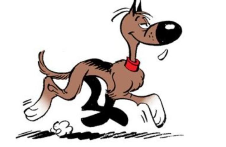 honden opvang voor het weekend of vakantie, Diensten en Vakmensen, Dieren | Honden | Verzorging, Oppas en Les, Pension of Dagopvang