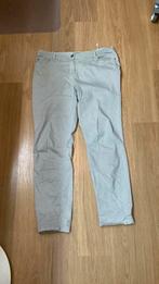 Dreamstar broek - maat 46 - grijsachtig, Kleding | Dames, Broeken en Pantalons, Dreamstar, Overige kleuren, Maat 46/48 (XL) of groter