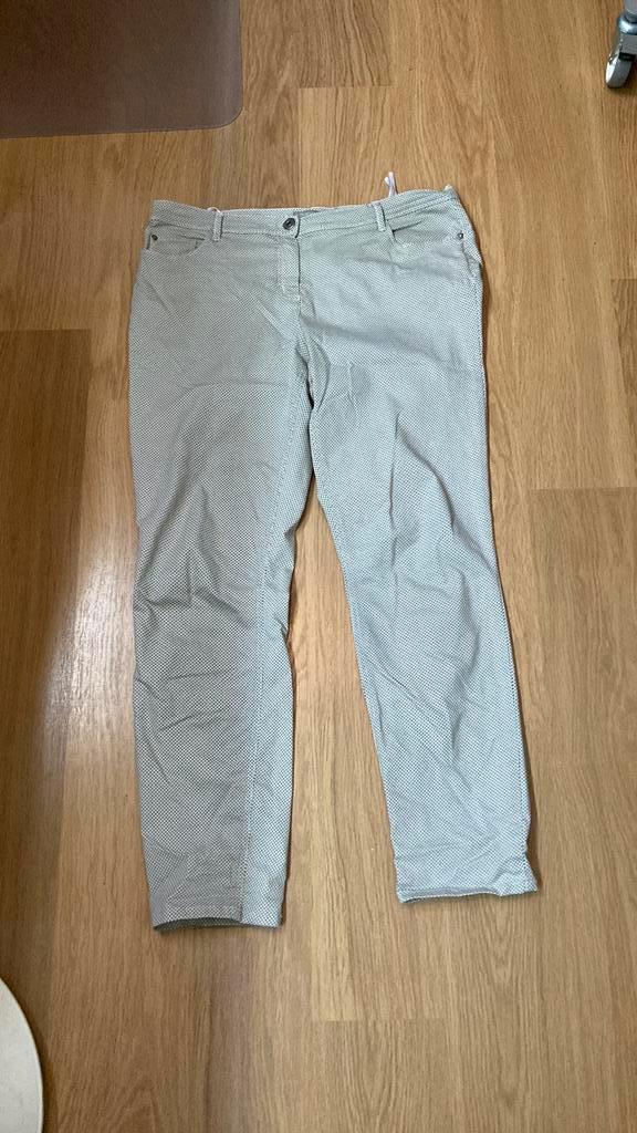 Dreamstar broek - maat 46 - grijsachtig, Kleding | Dames, Broeken en Pantalons, Zo goed als nieuw, Maat 46/48 (XL) of groter, Overige kleuren