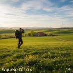 Gezocht: Weiland te huur of te koop/ pachtgrond