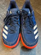 Zaalhockeyschoenen heren maat 42, Ophalen, Gebruikt, Schoenen