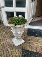 Twee mooie oude zandstenen/betonnen vazen/potten, Ophalen, Steen, Gebruikt, Minder dan 60 cm