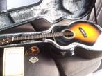 Eastman E20-OM sunburst met LR Baggs versterking, Muziek en Instrumenten, Snaarinstrumenten | Gitaren | Akoestisch, Verzenden