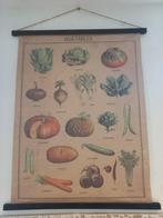 Vintage schoolplaat groente, Antiek en Kunst, Antiek | Schoolplaten, Huis en Tuin, Ophalen