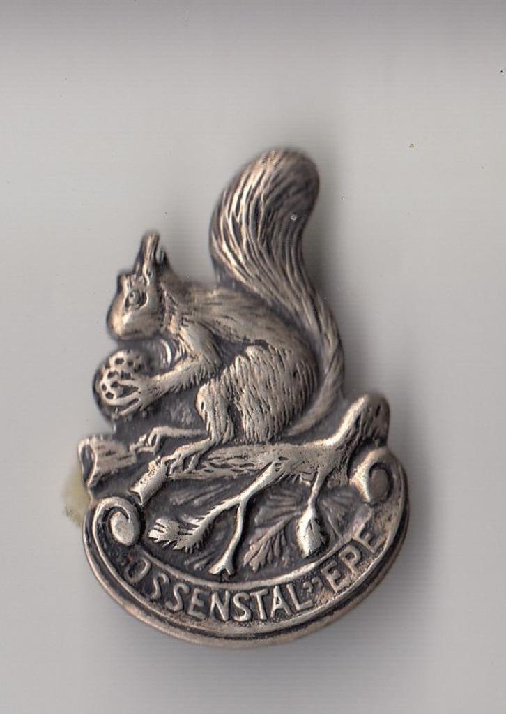 Epe De Ossenstal broche Eekhoorn, Verzamelen, Speldjes, Pins en Buttons, Gebruikt, Speldje of Pin, Overige onderwerpen, Ophalen of Verzenden