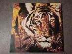 Tijger schilderij, Huis en Inrichting, Woonaccessoires | Schilderijen, Tekeningen en Foto's, Ophalen of Verzenden, Zo goed als nieuw