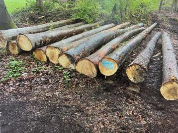 Eikenstammen 8 meter | Stamhout eiken | Volle vracht beschikbaar voor biedingen