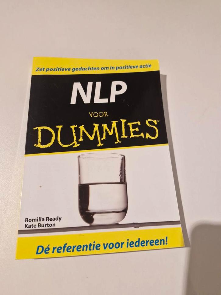 NLP voor Dummies - Romilla Ready & Kate Burton, Boeken, Psychologie, Gelezen, Overige onderwerpen, Ophalen of Verzenden