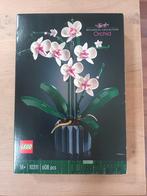 Lege doos Lego orchid orchidee botanical collection 10311, Ophalen of Verzenden, Gebruikt, Lego