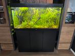 Juwel Rio 350 aquarium - compleet met inhoud, Ophalen, Zo goed als nieuw, Gevuld zoetwateraquarium