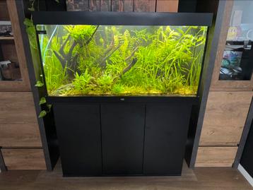 Juwel Rio 350 aquarium - compleet met inhoud beschikbaar voor biedingen