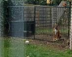 Hondenren kennel, Dieren en Toebehoren, Ophalen, Gebruikt, 110 cm of meer, 100 cm of meer