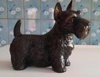 Beeld, Schotse terrier, Ophalen of Verzenden, Nieuw, Hond of Kat, Beeldje of Figuurtje