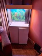 Aguarium, Ophalen of Verzenden, Leeg aquarium