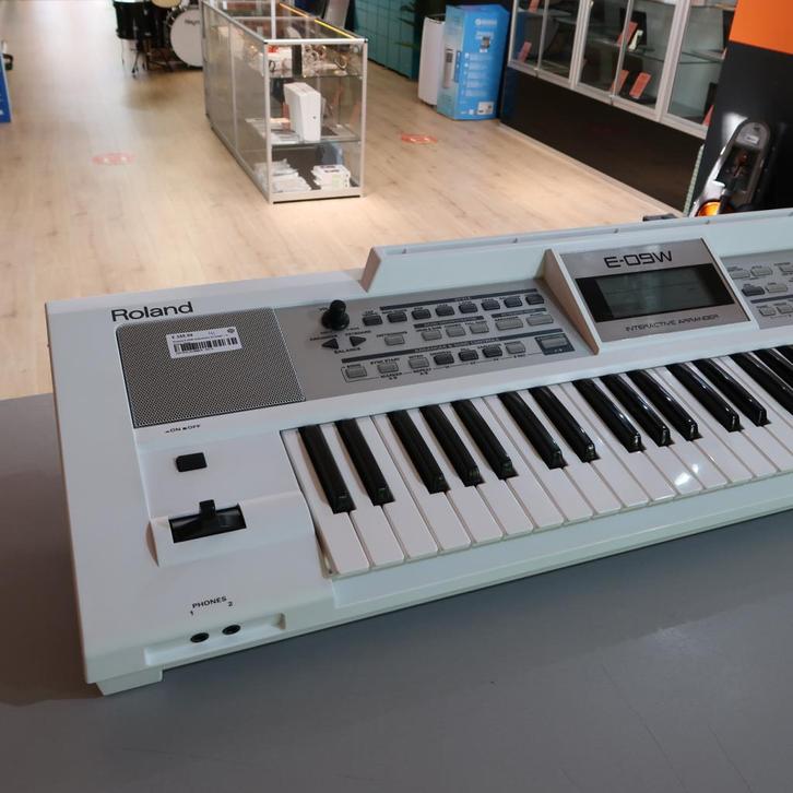 Roland E-09W Interactive Arranger | in Prima Staat, Muziek en Instrumenten, Synthesizers, Zo goed als nieuw