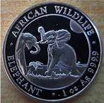 Somalia Elephant 2024 - 1 OZ. puur zilver, Ophalen of Verzenden, Overige landen, Losse munt, Zilver