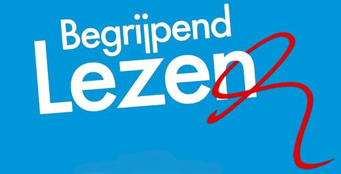 begrijpend lezen (voorbereiding cito) groep 3 4 5 6 7 8, Boeken, Schoolboeken, Zo goed als nieuw, Nederlands, Overige niveaus