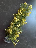 Tetra Flexibele Plant Kunstplant voor in biorb / aquarium, Dieren en Toebehoren, Vissen | Aquaria en Toebehoren, Ophalen of Verzenden