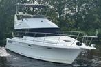 Bayliner 3688 Speedcruizer 11meter, Ophalen, Gebruikt, Diesel, 9 tot 12 meter