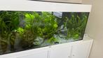 Aquarium 180 L, 101x41x50 cm, JUWEL, Rio LED wit, Dieren en Toebehoren, Ophalen, Zo goed als nieuw, Gevuld zoetwateraquarium