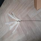 Kunstpluimen, Ophalen, Zo goed als nieuw