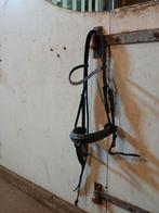 Mooi hoofdstel, Ophalen of Verzenden, Zo goed als nieuw, Dressuur