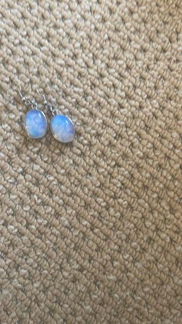 Oorbellen blauw beschikbaar voor biedingen