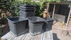 Kweekpotten, Tuin en Terras, Ophalen, Kunststof, Minder dan 30 cm, Minder dan 60 cm
