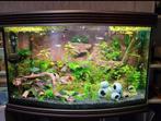 !Trofis aquarium!, Ophalen of Verzenden, Zo goed als nieuw