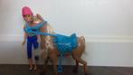 Barbie met paard, Ophalen of Verzenden, Gebruikt, Barbie