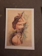 7x druuna prenten 20 euro weg is weg, Boeken, Stripboeken, Meerdere stripboeken, Verzenden, Nieuw