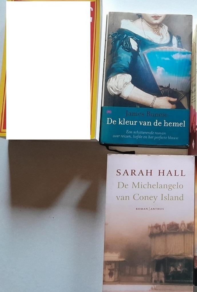 Hall Sarah : De Michelangelo van Coney Island, Boeken, Romans, Ophalen of Verzenden