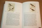 Vogels kijken - Alle 300 Ned Vogelsoorten- Prachtige prenten, Ophalen of Verzenden, Gelezen, Vogels