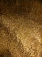 Oudere kleine balen hooi, Ophalen, Vee