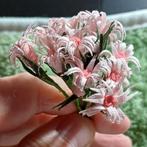 Poppenhuis bosje bloemen, Ophalen of Verzenden, Poppenhuis