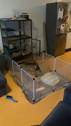 GEZOCHT; ratten spullen, Dieren en Toebehoren, Rat, Juni, Geslacht onbekend, Tam