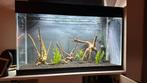 Aquael 125 optic white, Dieren en Toebehoren, Vissen | Aquaria en Toebehoren, Ophalen, Gebruikt, Gevuld zoetwateraquarium