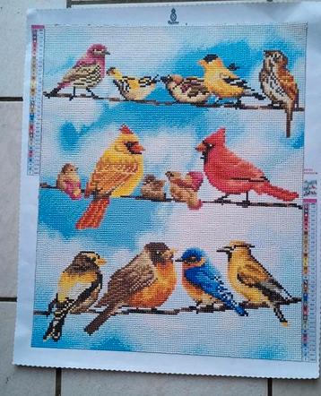 Vogeltjes - 40 x 50 cm. - Diamond Painting beschikbaar voor biedingen